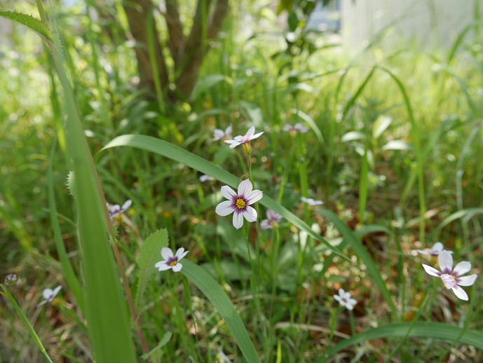 P1000542