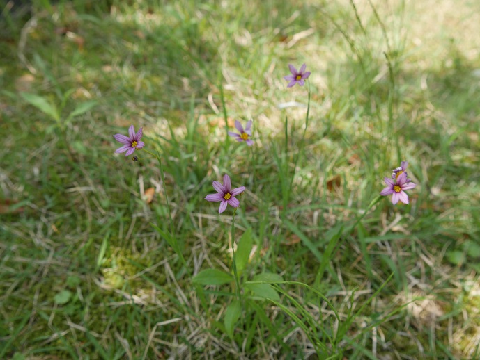 P1000546