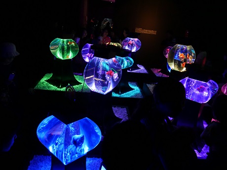 アートアクアリウム 21世紀美術館1
