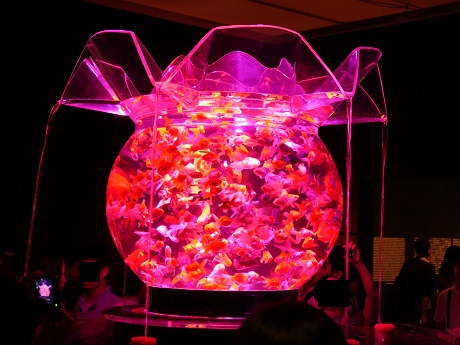 アートアクアリウム 21世紀美術館 花魁2
