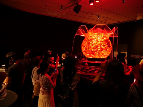 アートアクアリウム 21世紀美術館 花魁